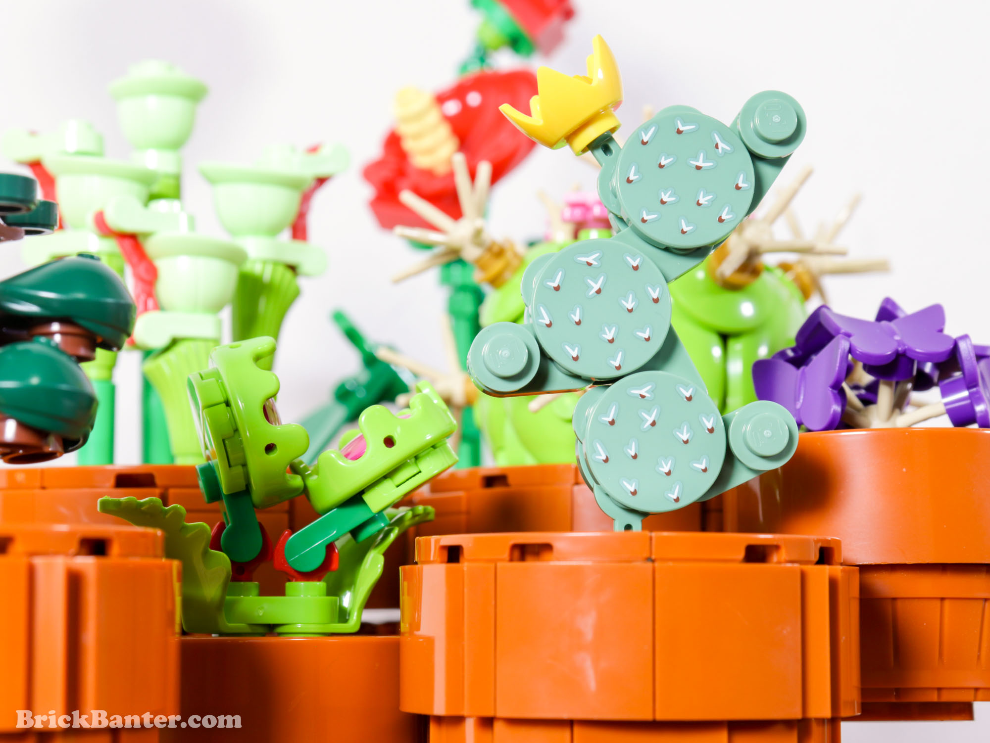 LEGO reveals LEGO Botanical Collection 10329 Tiny Plants [News