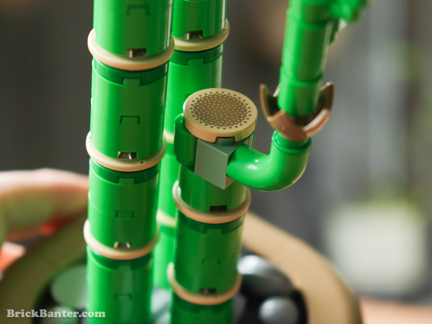 Review: LEGO Botanicals Lucky Bamboo (10344)