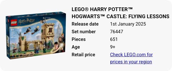 LEGO® Harry Potter™ Hogwarts™ Castle- Flying Lessons 76447 January 2025 - W