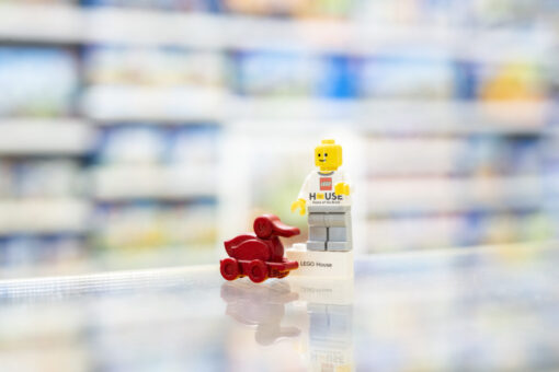 LEGO-House-3D-Printed-Duck-and-AFOL-Day-Minifigure-1400x934