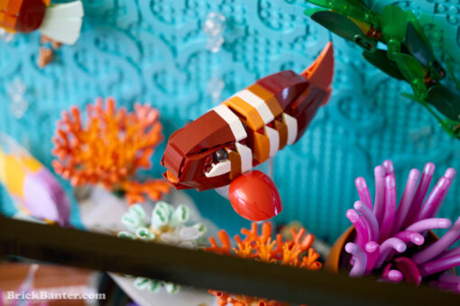10366 LEGO Icons Tropical Aquarium New Release Review Brick Banter