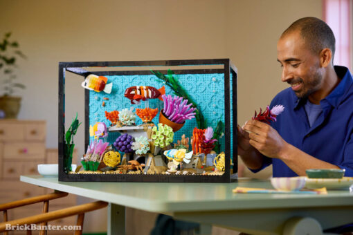 10366 LEGO Icons Tropical Aquarium New Release Review Brick Banter