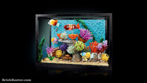 10366 LEGO Icons Tropical Aquarium New Release Review Brick Banter