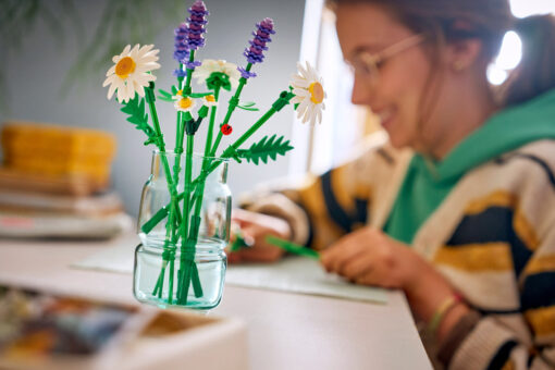 LEGO Botanicals Daisies 11508 New Release Review Brick Banter - 2025 November 1500 x 1000 03