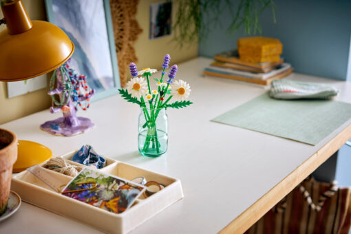 LEGO Botanicals Daisies 11508 New Release Review Brick Banter - 2025 November 1500 x 1000 04