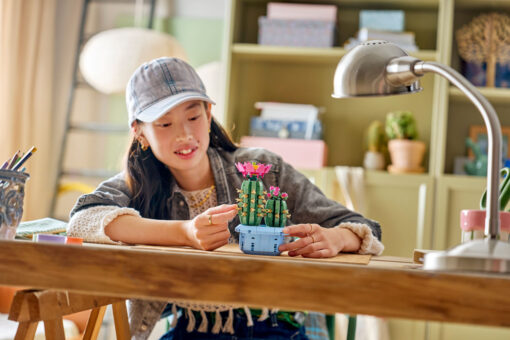 LEGO Botanicals Flowering Cactus 11509 New Release Review Brick Banter - 2025 November 1500 x 1000 03