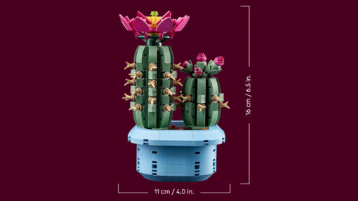 LEGO Botanicals Flowering Cactus 11509 New Release Review Brick Banter - 2025 November 1500 x 844 01
