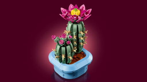 LEGO Botanicals Flowering Cactus 11509 New Release Review Brick Banter - 2025 November 1500 x 844 02