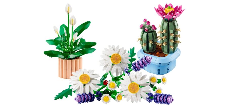 LEGO Botanicals January 2026