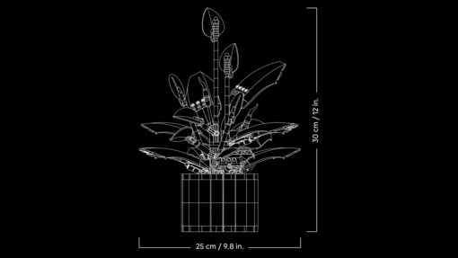 LEGO Botanicals Peace Lily 11504 New Release Review Brick Banter