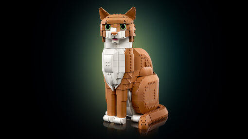 LEGO Ideas Orange Cat 21376 March 2026 New Release Review Brick Banter