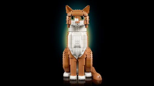 LEGO Ideas Orange Cat 21376 March 2026 New Release Review Brick Banter