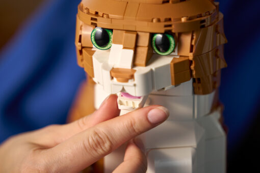 LEGO Ideas Orange Cat 21376 March 2026 New Release Review Brick Banter