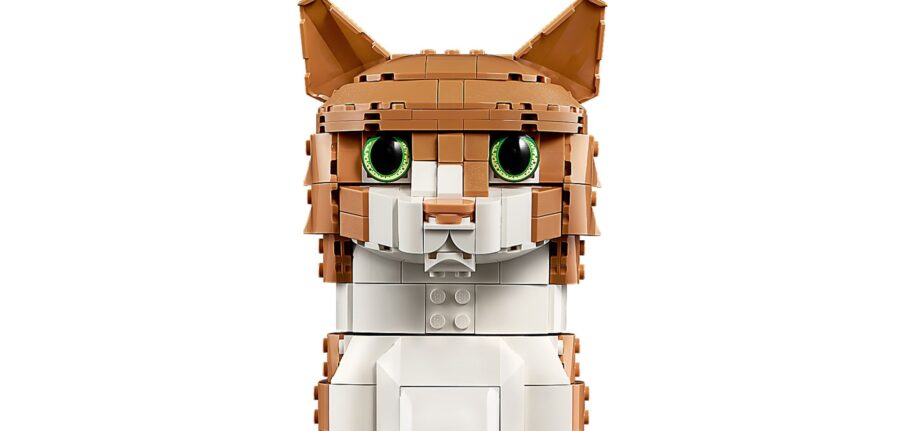LEGO Ideas Orange Cat 21376 March 2026 New Release Review Brick Banter -01